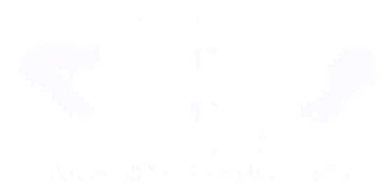 DP Kustom Upholstery